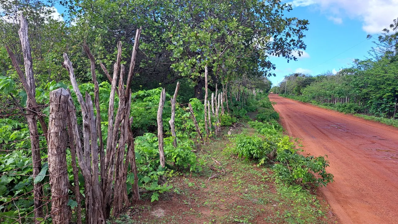 13 hectares no litoral para fazenda