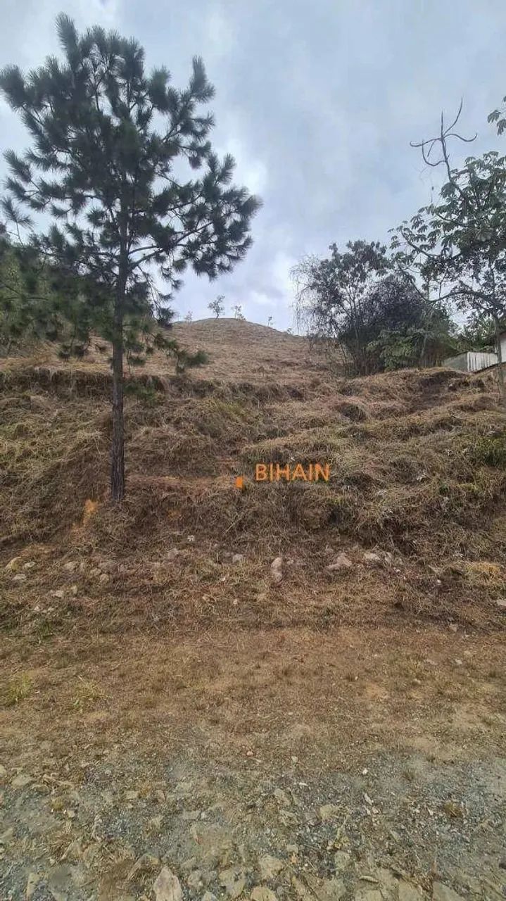 Terreno à venda, 1400 m² por R$ 1.470.000,00 - Vila d'El Rey - Nova Lima/MG - Foto 2