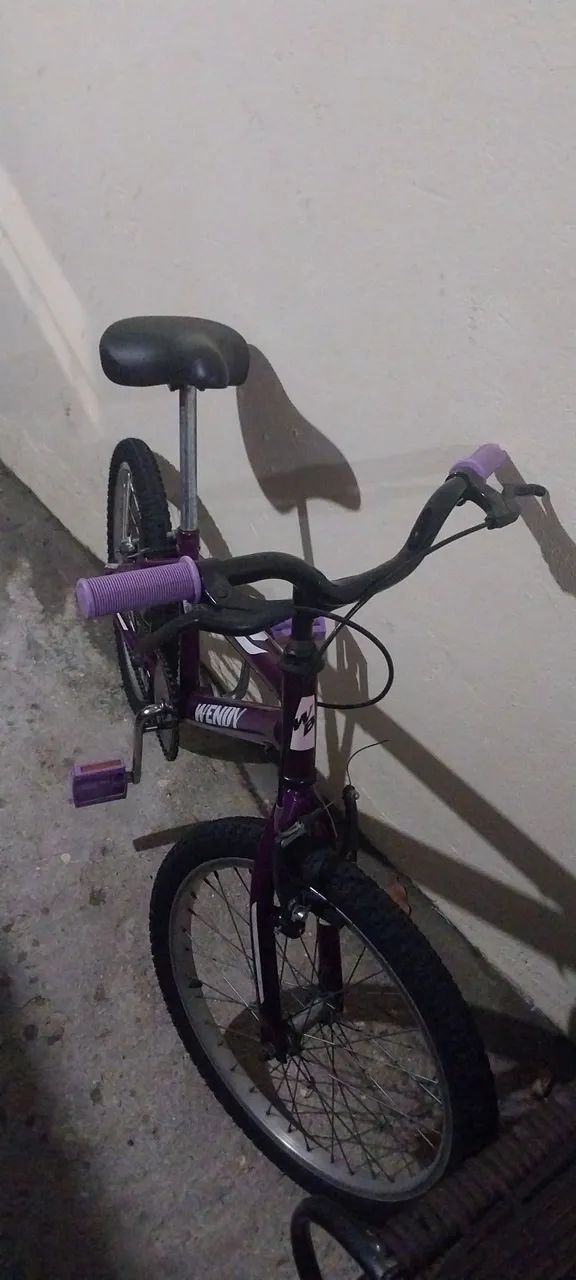 Bicicleta Roxa