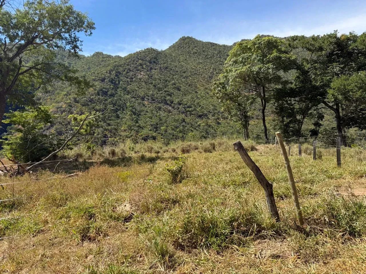 Fazenda  - Paranã - TO - Foto 2