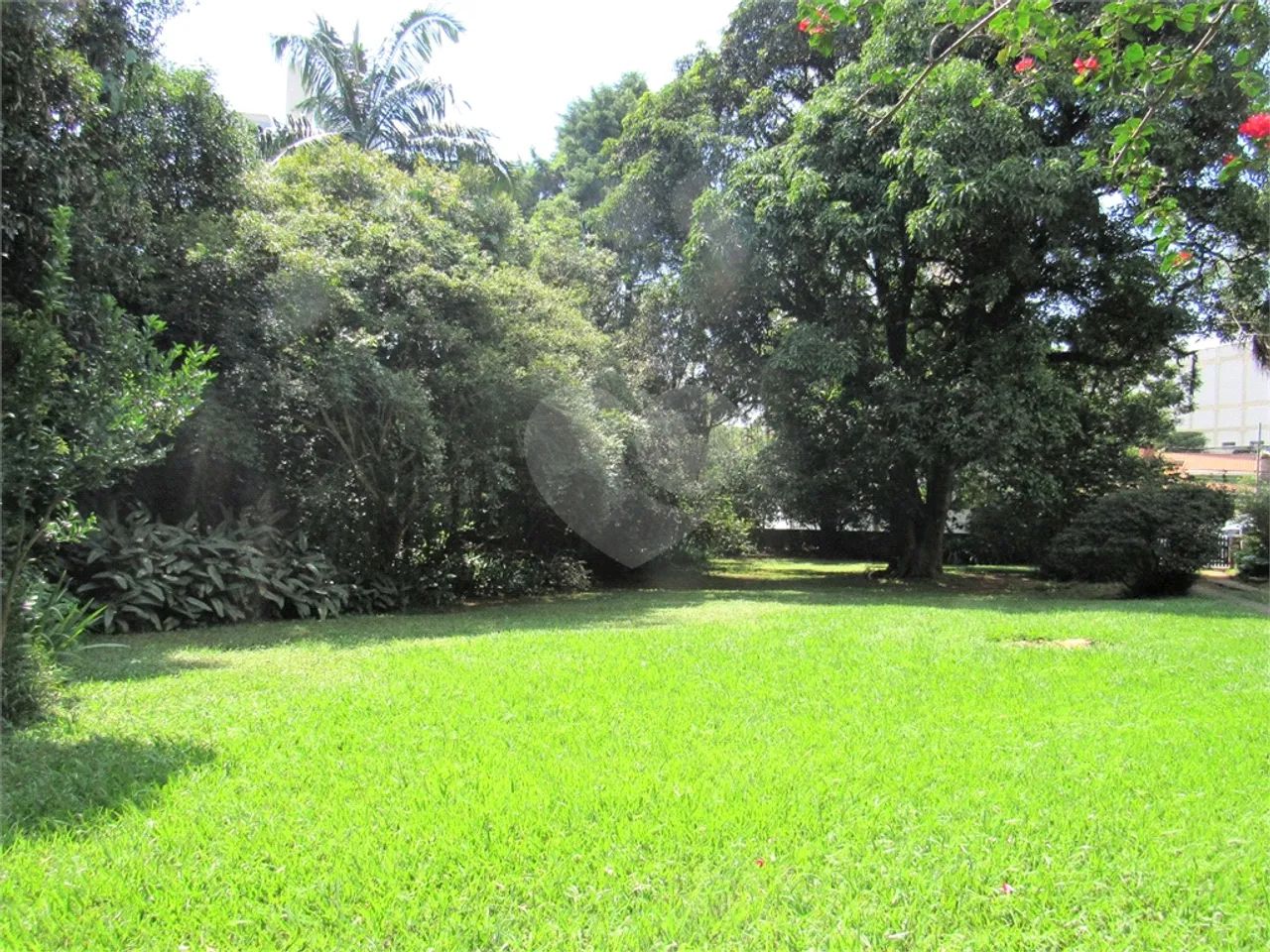 Terreno a venda na Granja Julieta - Foto 2