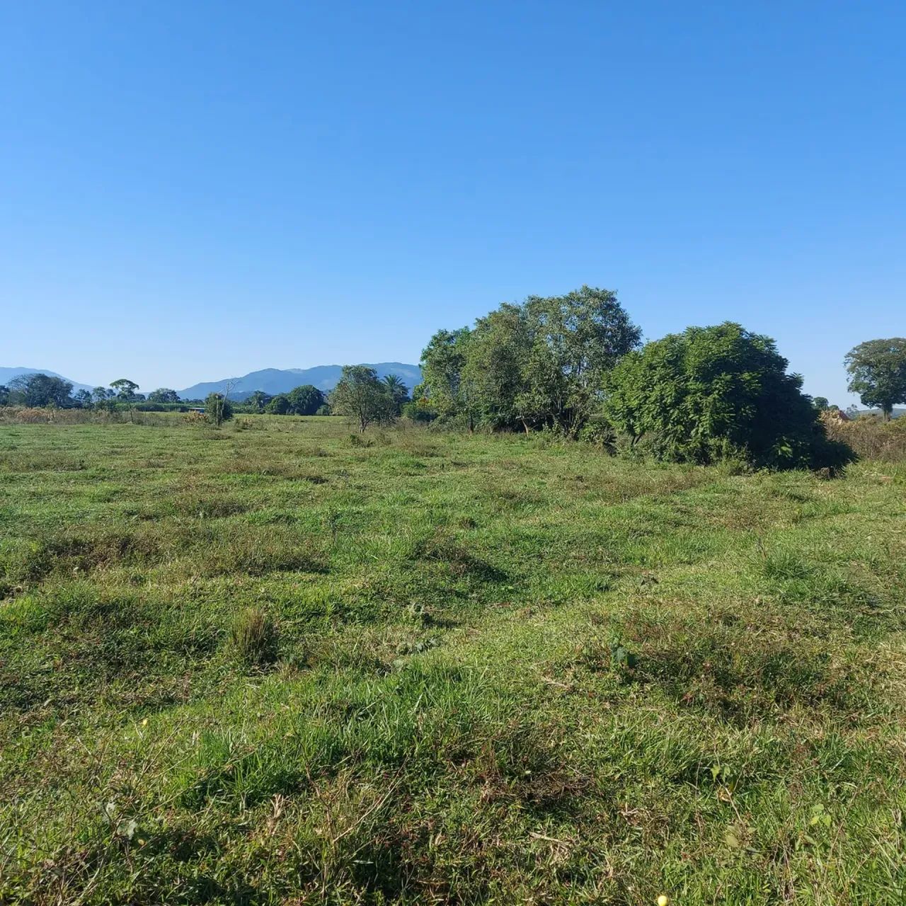 OPORTUNIDADE!!! ZONA RURAL!!! - Foto 2