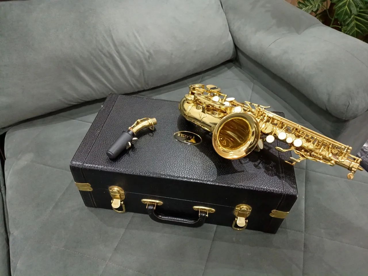 Sax Eagle soprano curvo 508 impecável 