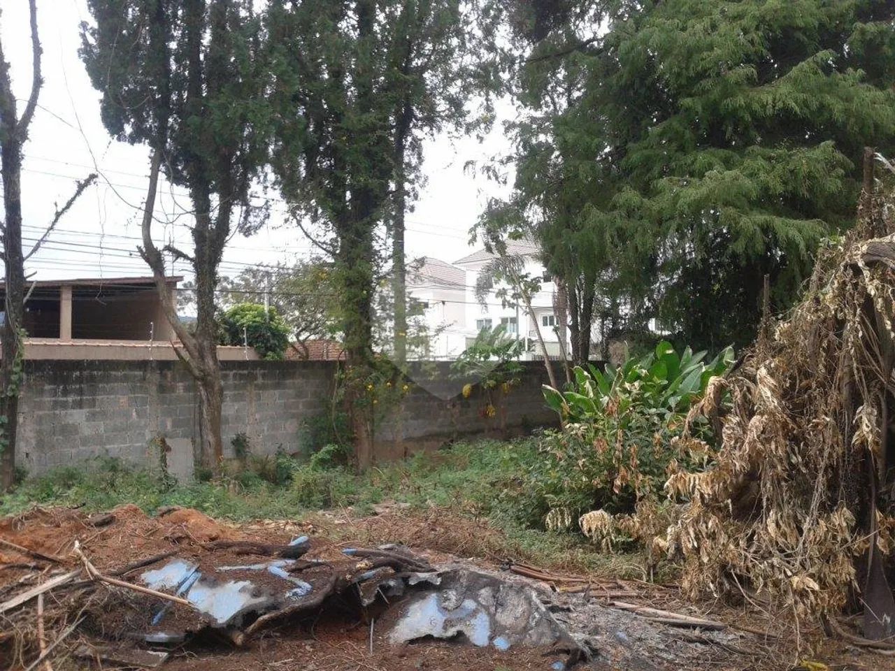 Terreno à venda em Horto florestal - SP - Foto 2
