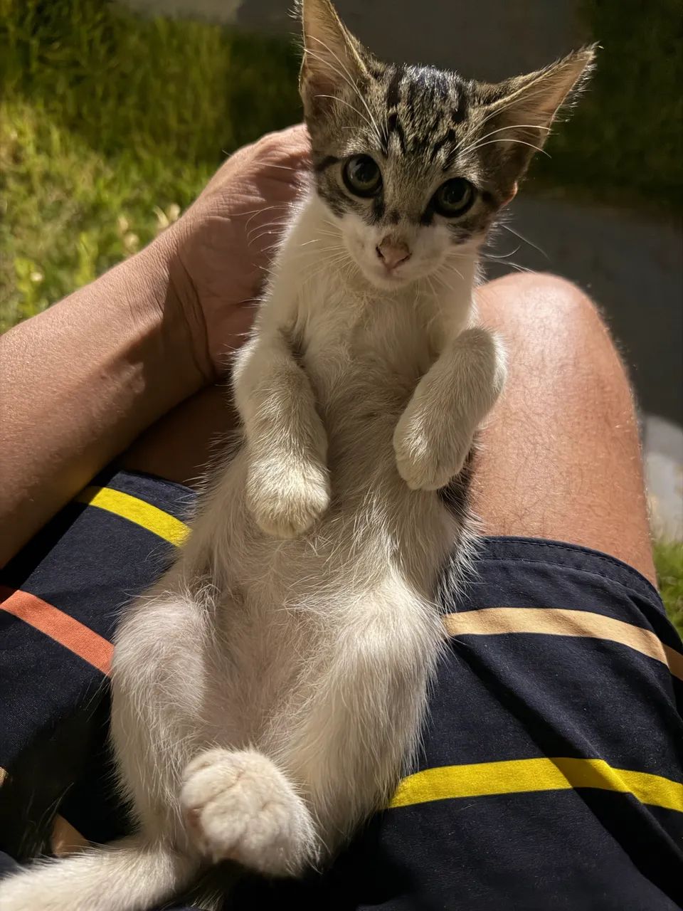 Doação  - Foto 2