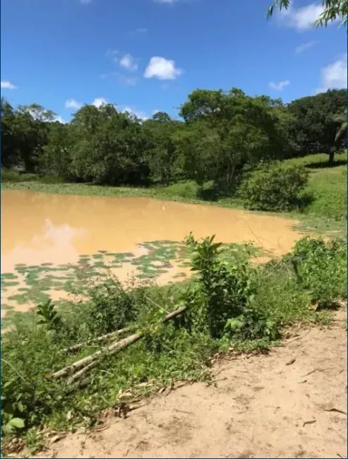 SÍTIO NO CONDE - Foto 2