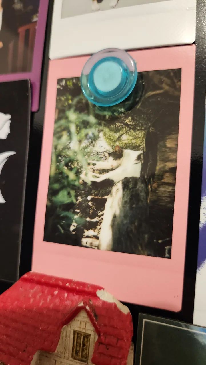 Camera instax mini 12 - Foto 4
