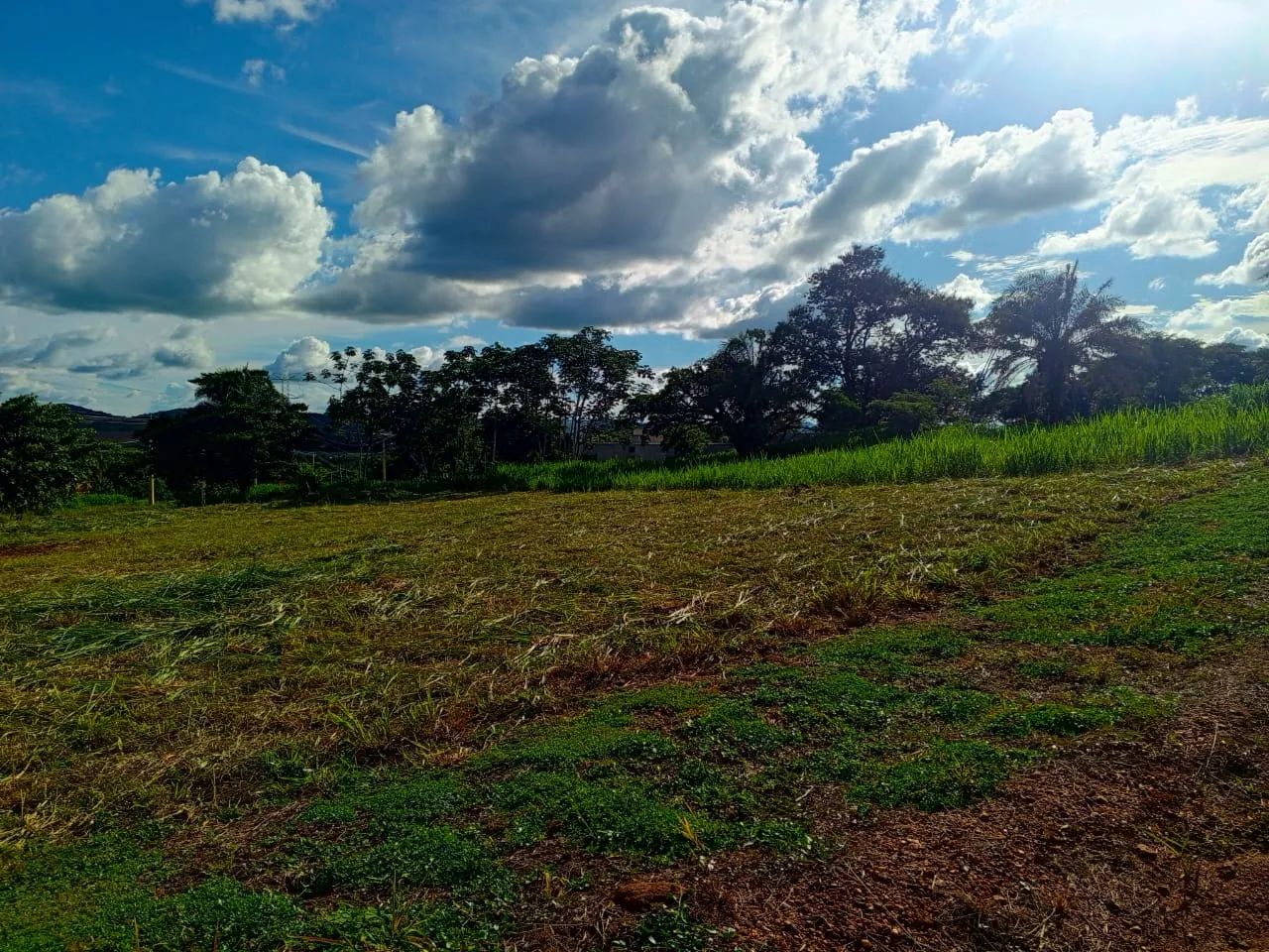 Condóminio Terra Santa Galiléia - Foto 4