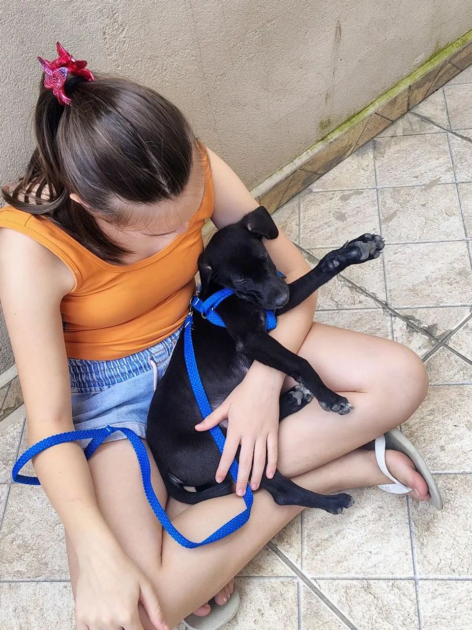 Cachorro Max - Foto 4