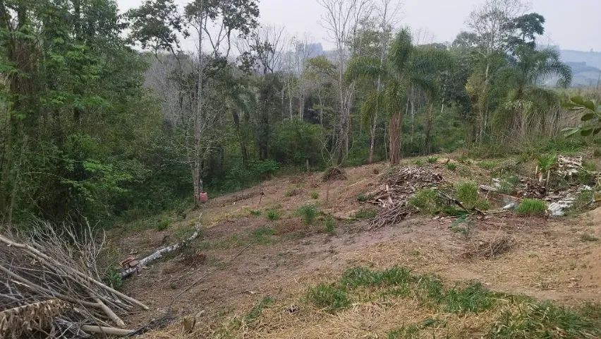 Sítio no Paraná- Prudentópolis - Foto 4