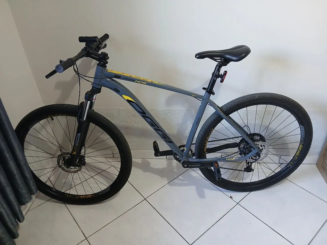 Bicicleta oggi Essa