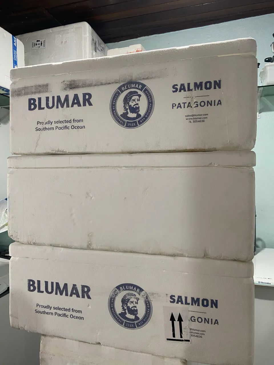 Caixas de Isopor 44L e 60L  -  40 unidade - Bom Estado-  - Foto 2