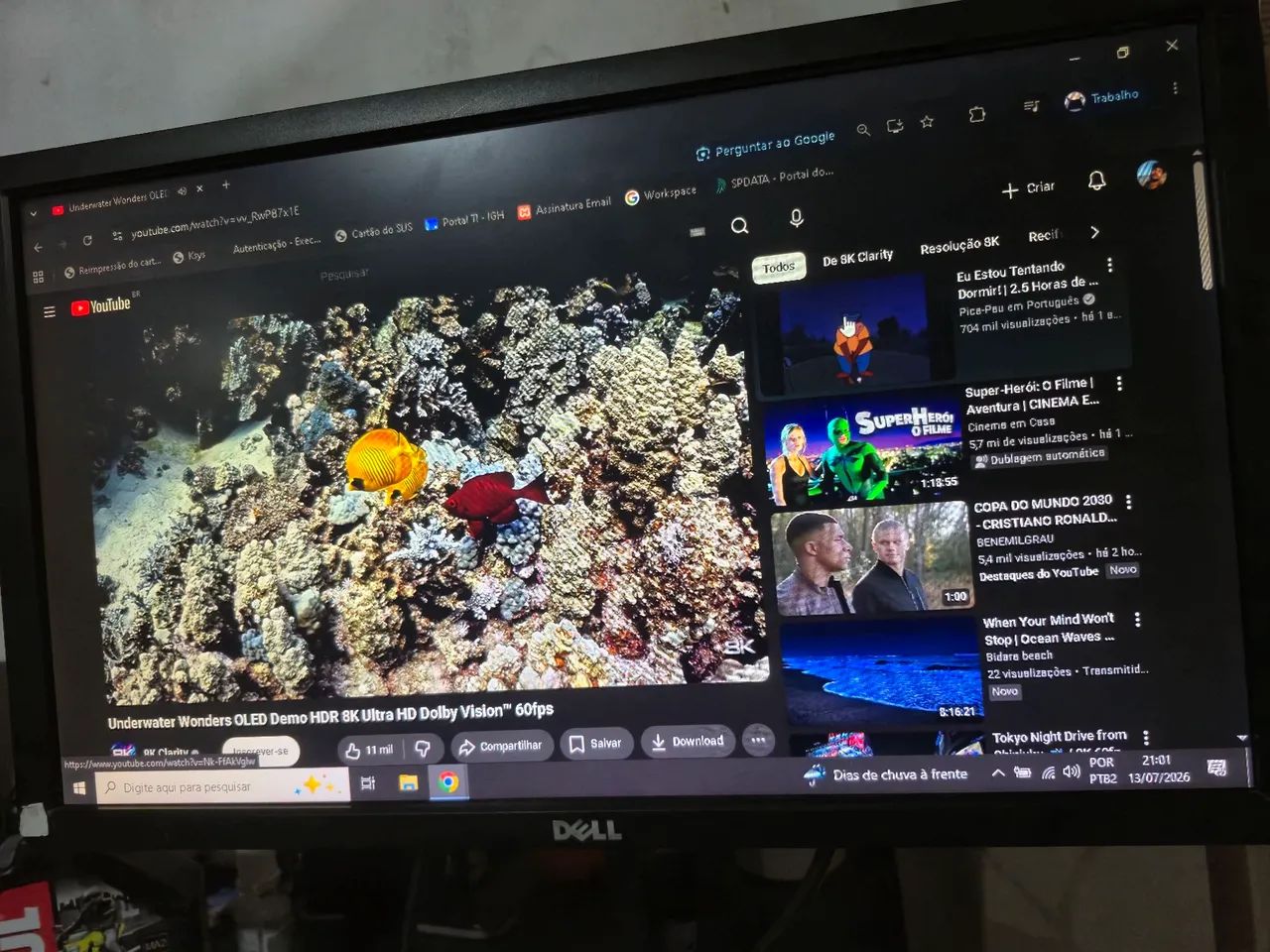 Monitor Dell 19. Articulado e todo original