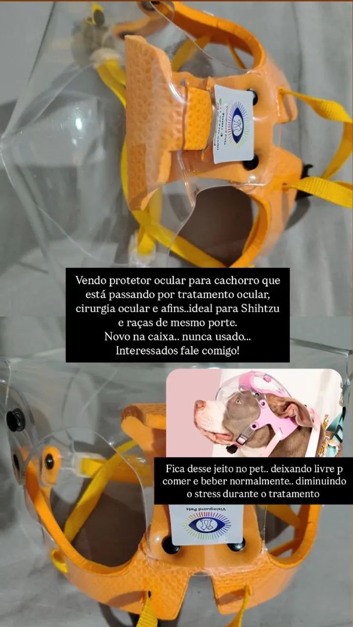 Protetor ocular para cachorro 