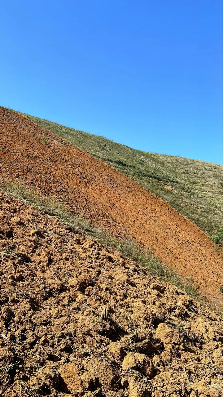 Prestação de serviços agrícolas 