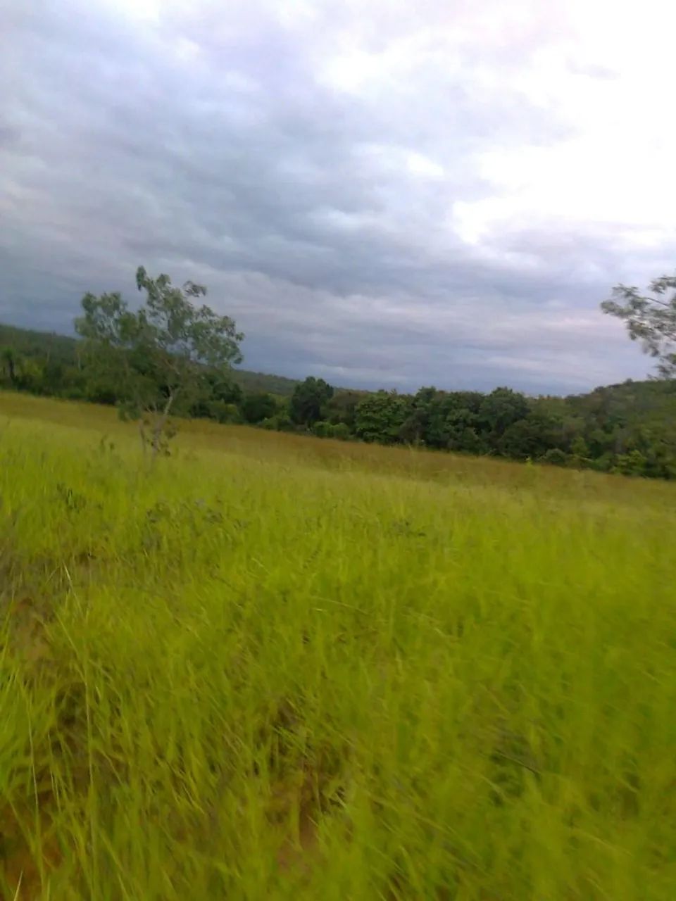 Vendo fazenda  - Foto 2