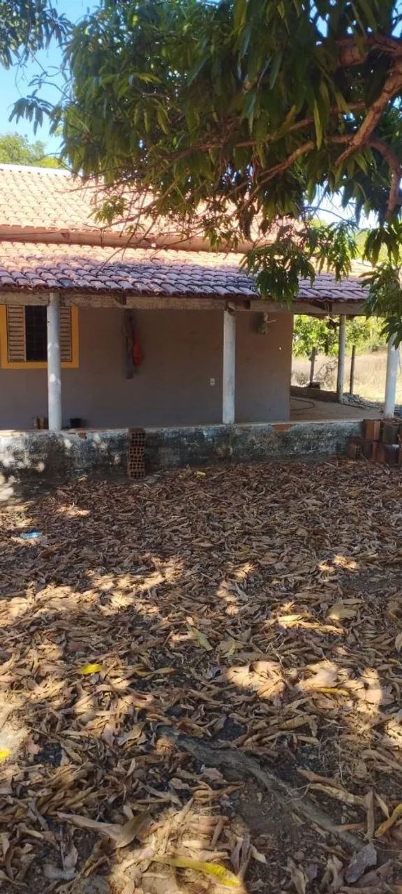 Chácara em Palmas. 600 mil. - Foto 5