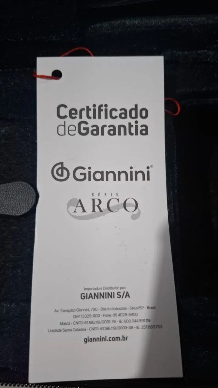 Violino 4x4 Giannini - Foto 4