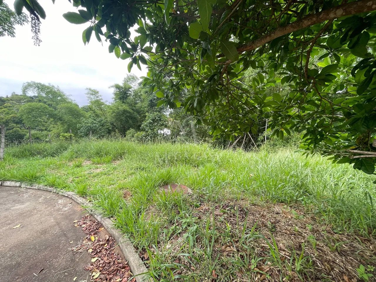 terreno - Parque do Imperio - Juiz de Fora - Foto 3