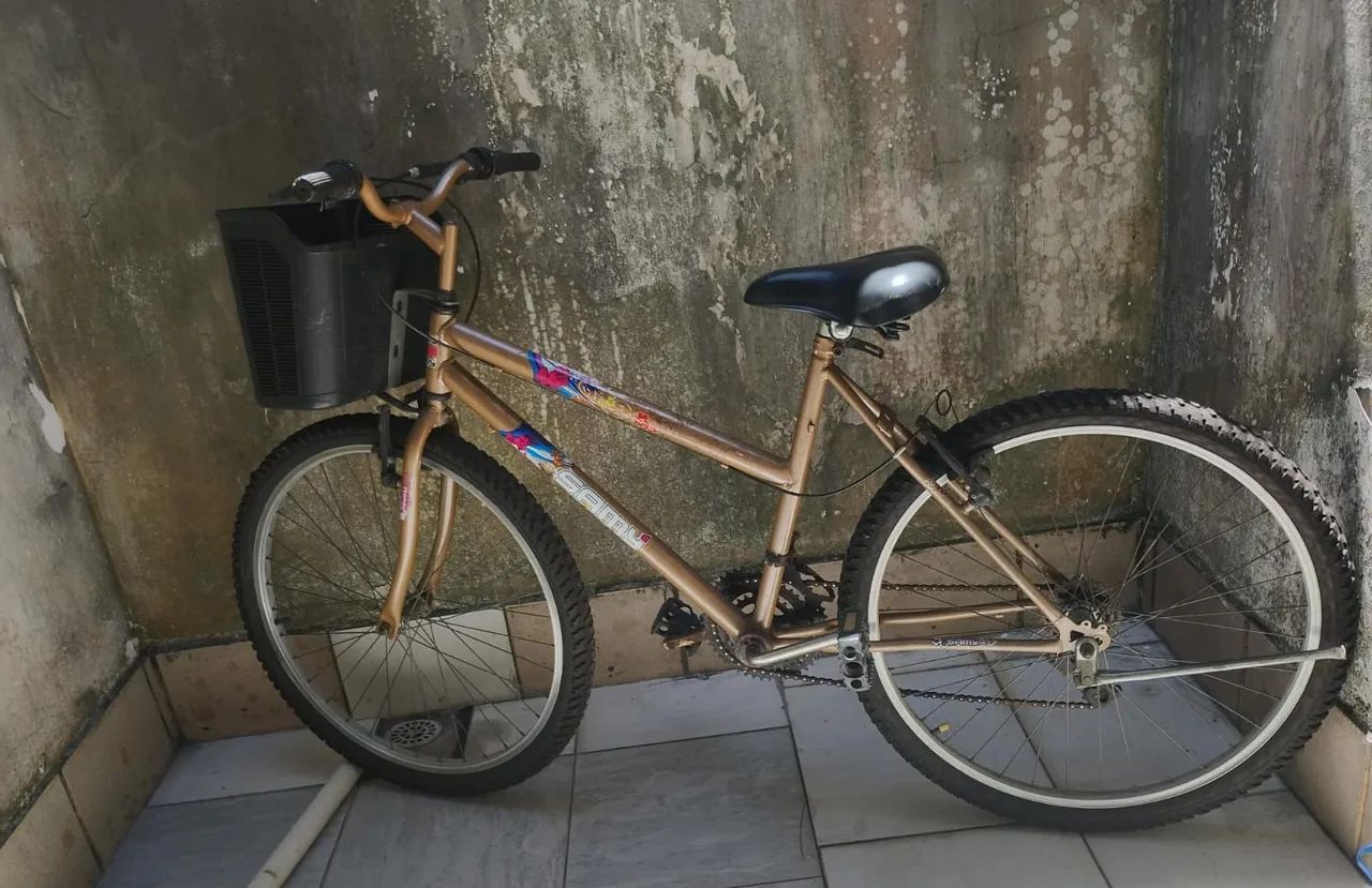 Bicicleta 