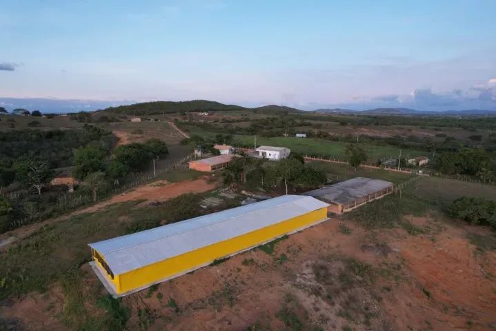 GRANJA + AGROINDÚSTRIA DE OVOS À VENDA | OPERAÇÃO EM FUNCIONAMENTO | RIBEIRÓPOLIS/SE - Foto 2