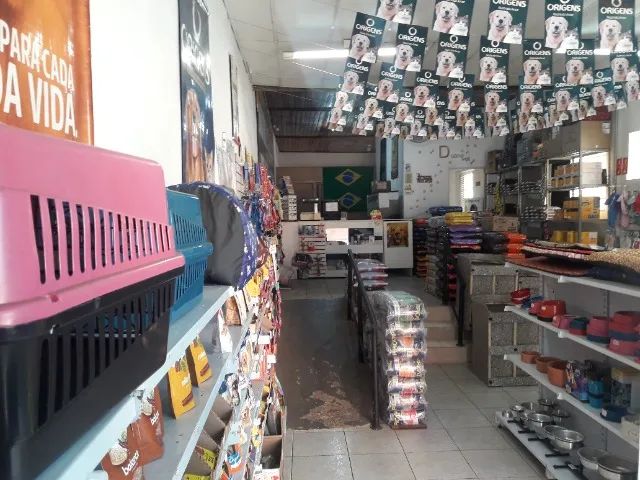 PetShop com Atendimento Veterinário 110mt² - Foto 3