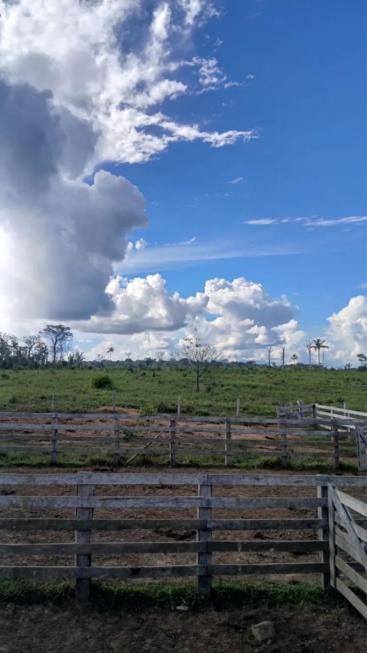 Vende-se fazenda com 200 hectares - Foto 5