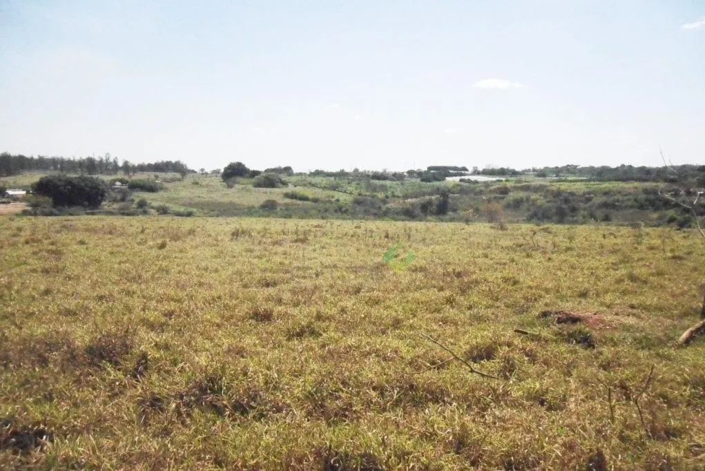 terreno - Chácara Santa Margarida - Campinas - Foto 4