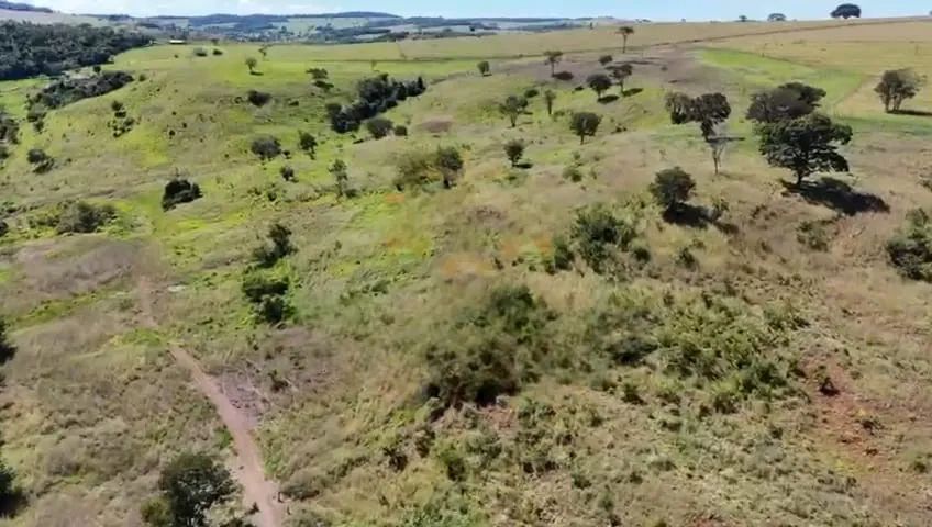 Fazenda em Uberlândia 100 hectares  - Foto 4
