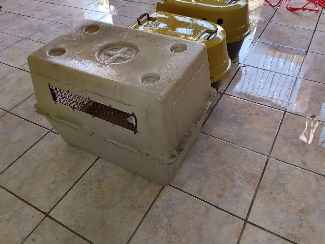Caixa transporte cães  - Foto 5