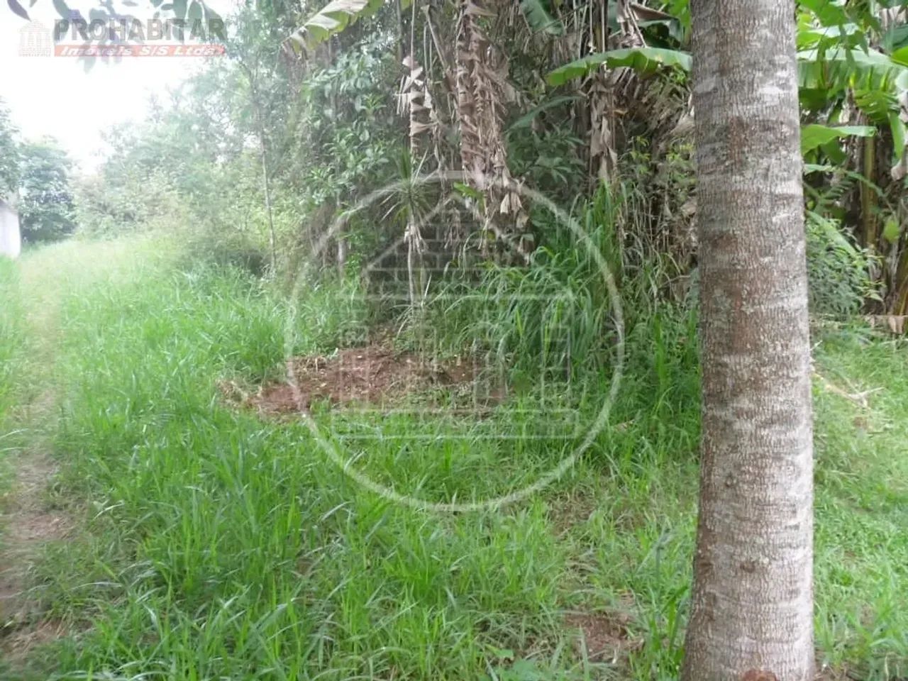 Terreno à venda no Parque do Terceiro Lago - Foto 5