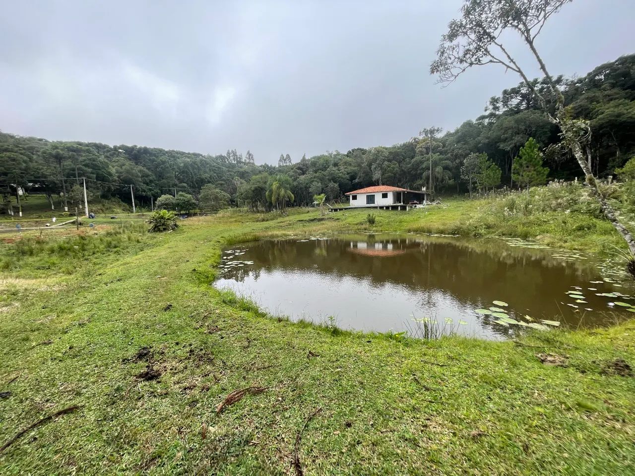 Chácara em  Bocaiuva do Sul  - Foto 8