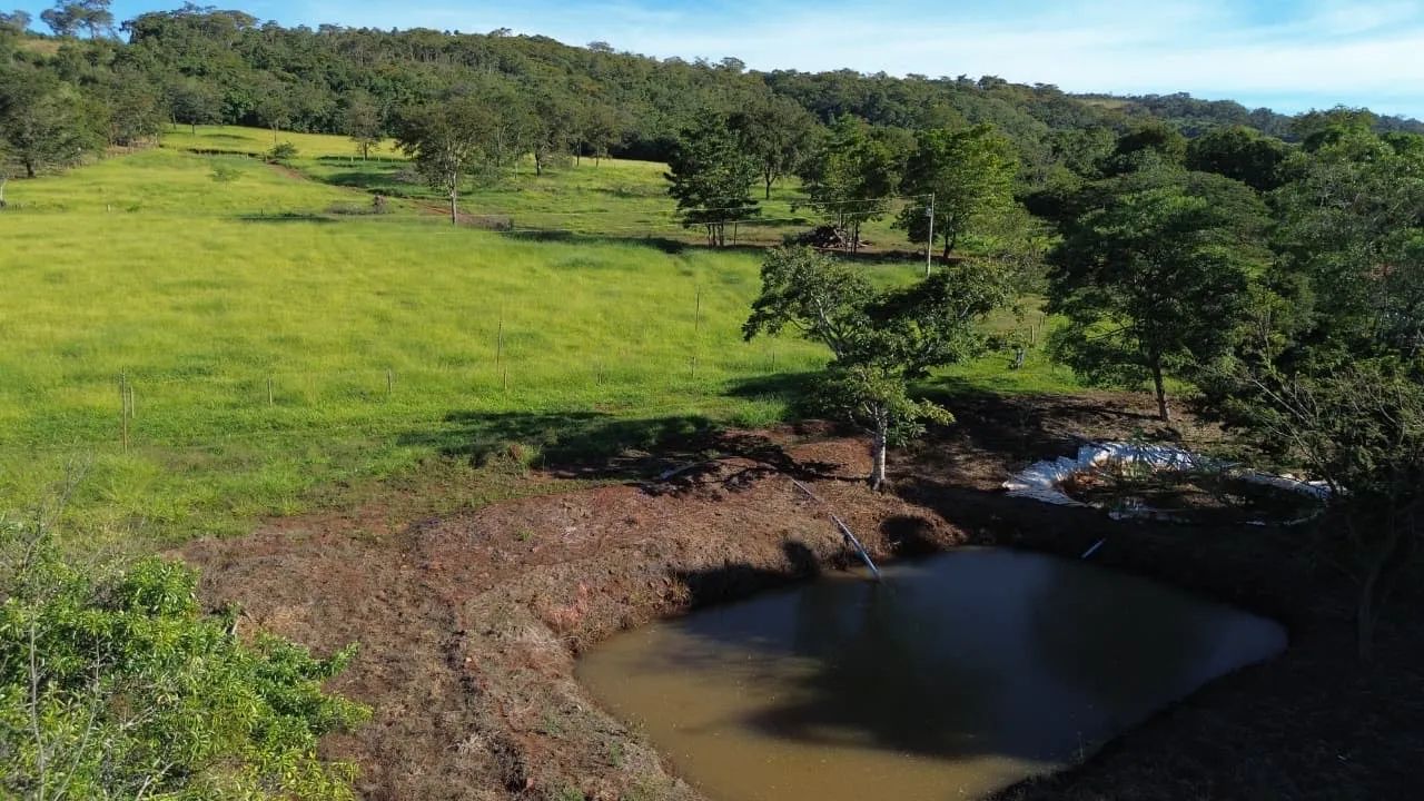 Sítio próximo Araguari 20 hectares  - Foto 4