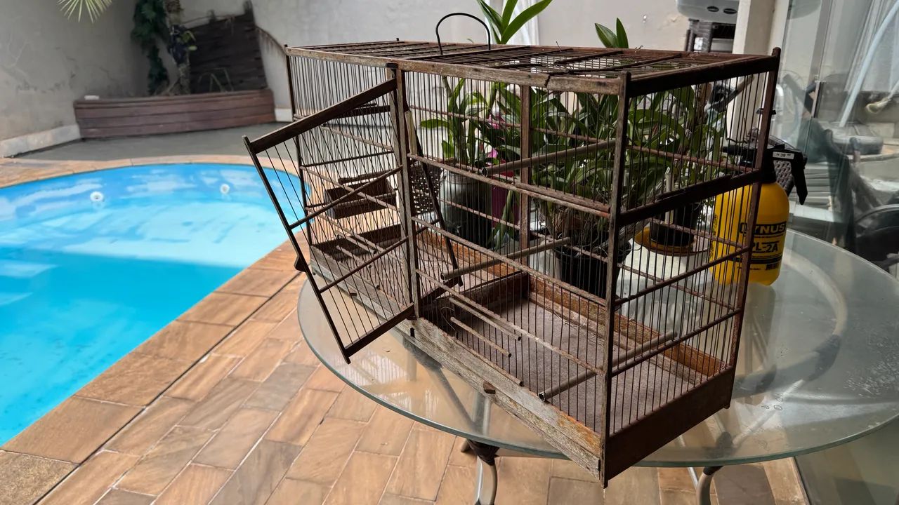 GAIOLA VOADEIRA C/ DIVISORIA - Foto 3