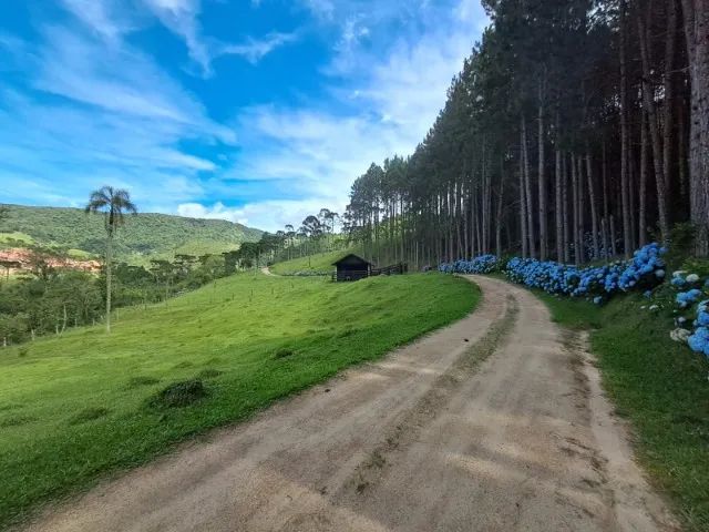 Lindo Sitio em Rancho Queimado - Foto 4