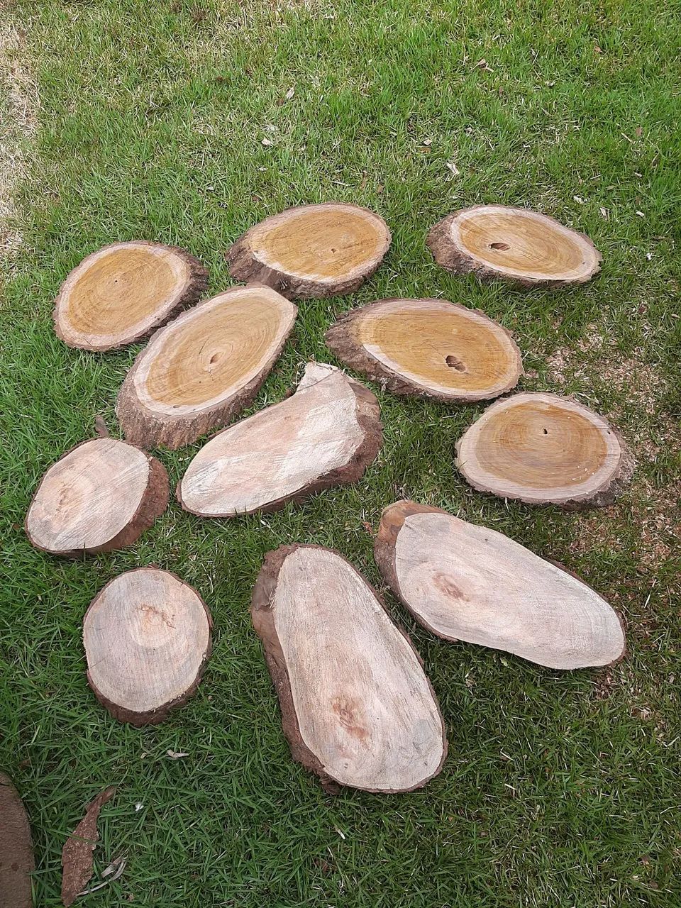 Bolachas de madeira