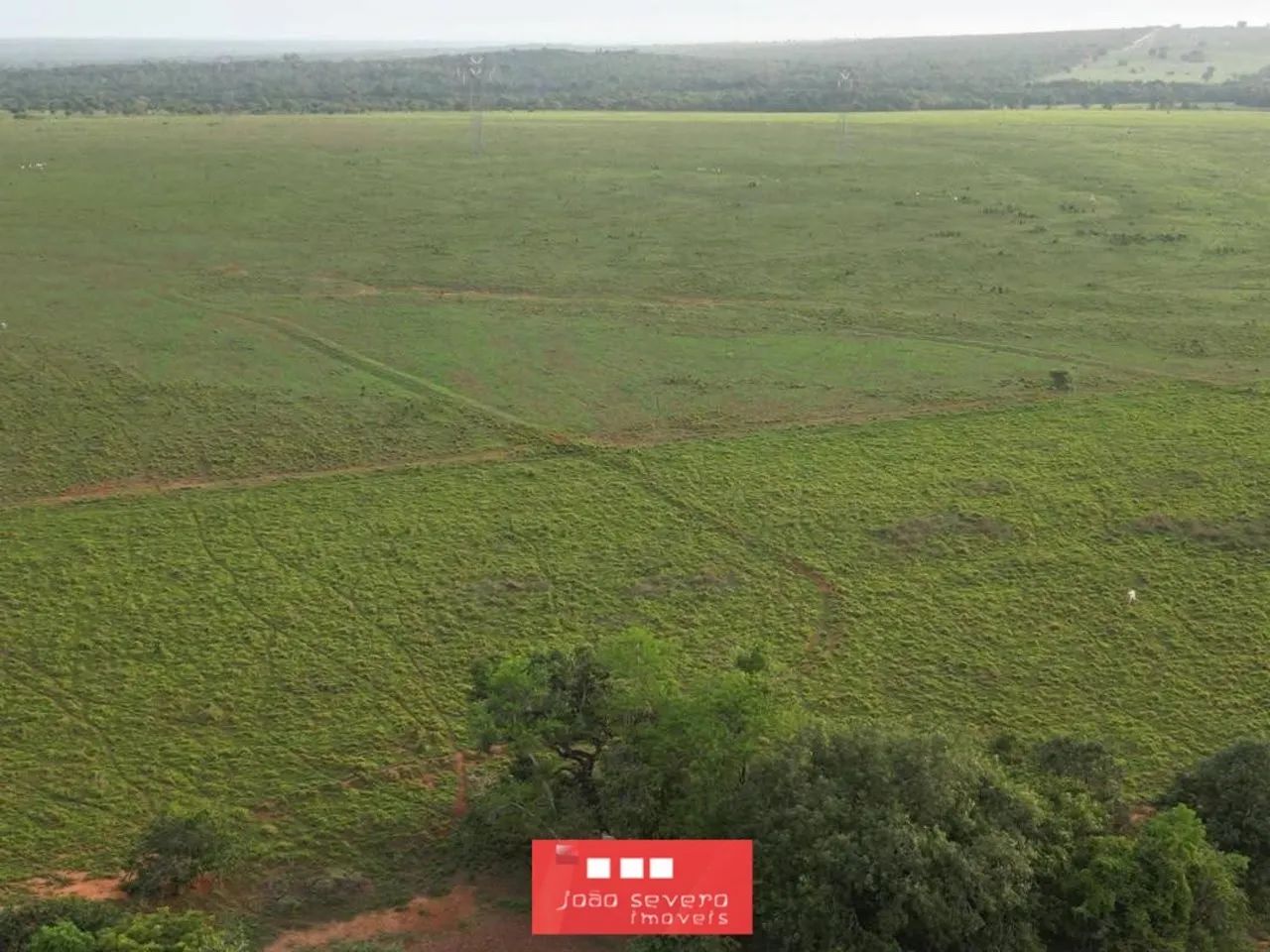 Fazenda para Venda em Guaraí - Foto 5