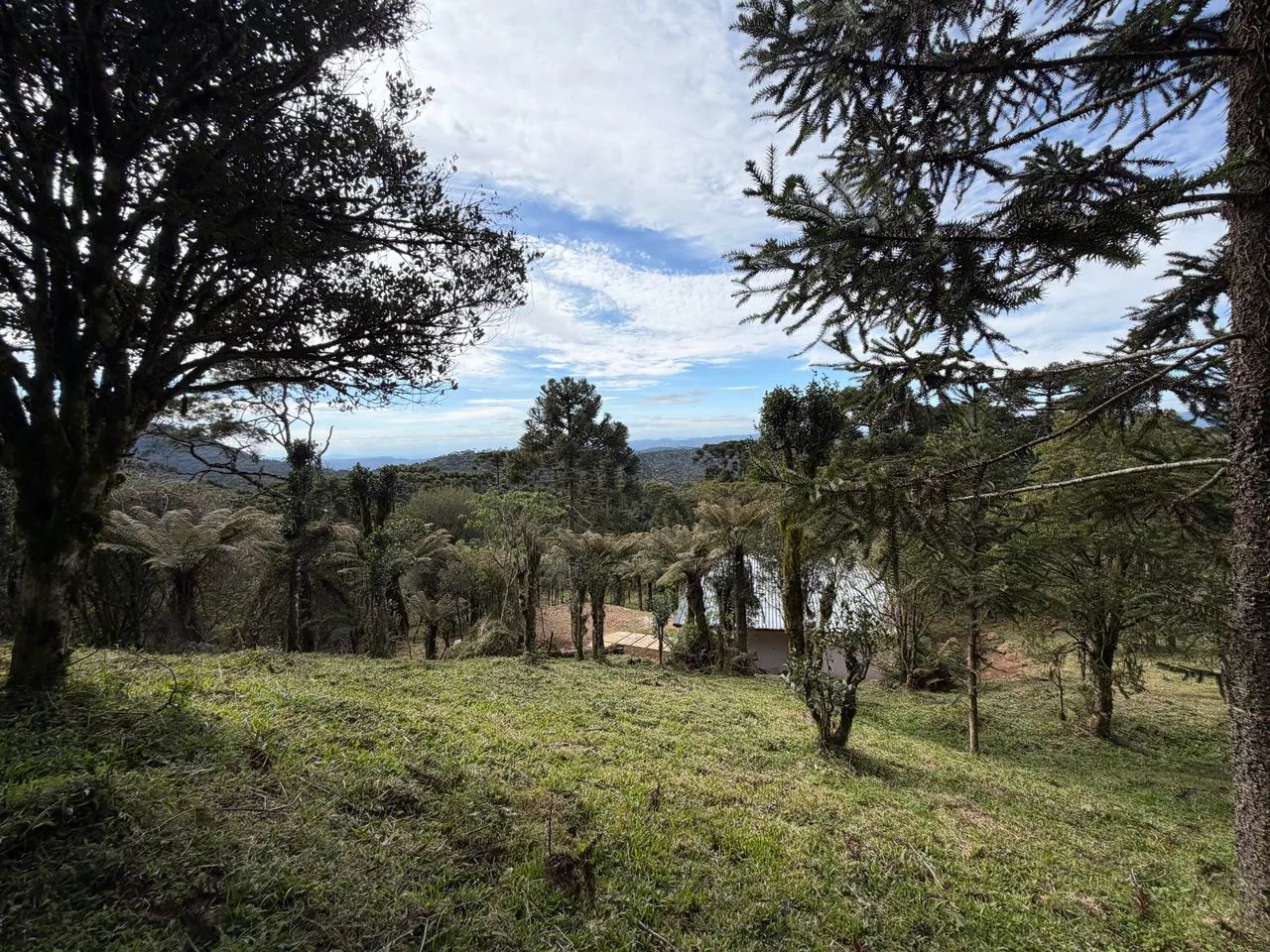Urubici chácara com casa  - Foto 3