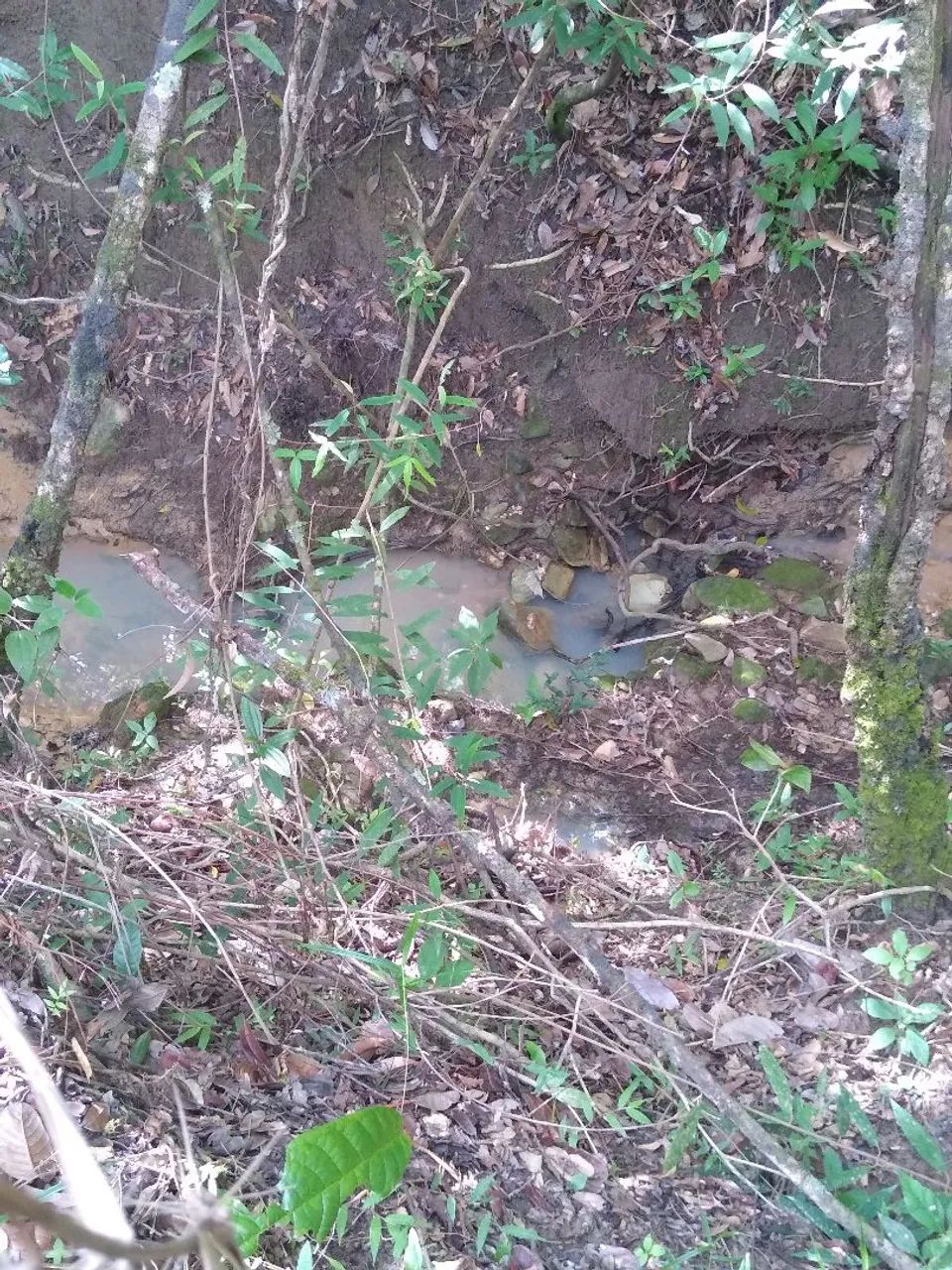 TERRENO  - Foto 5