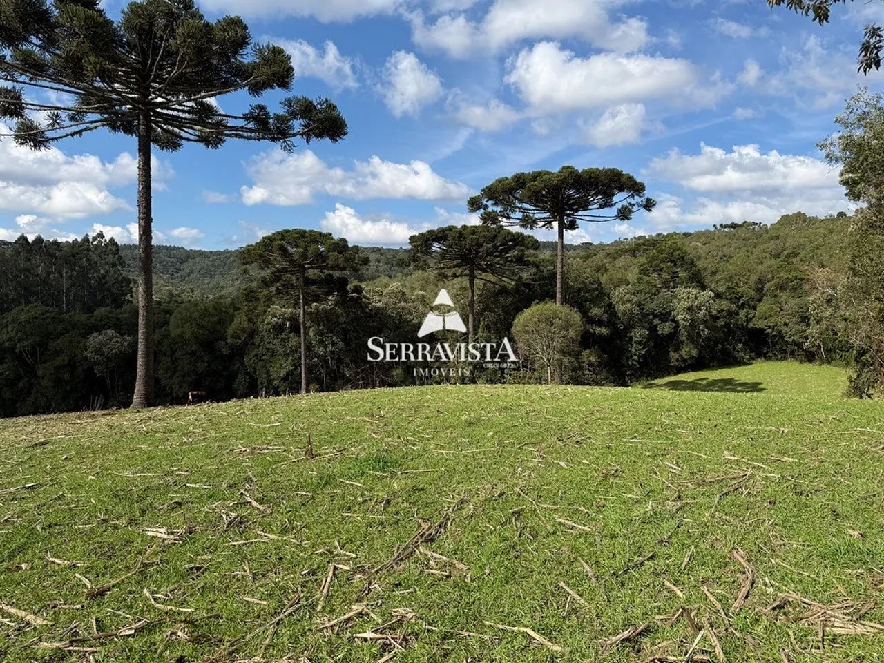 Área para chácara com pastagem e nascente-44.475m2 - Foto 2