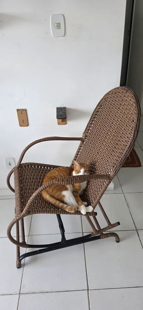 Cadeira de balanço seminova.