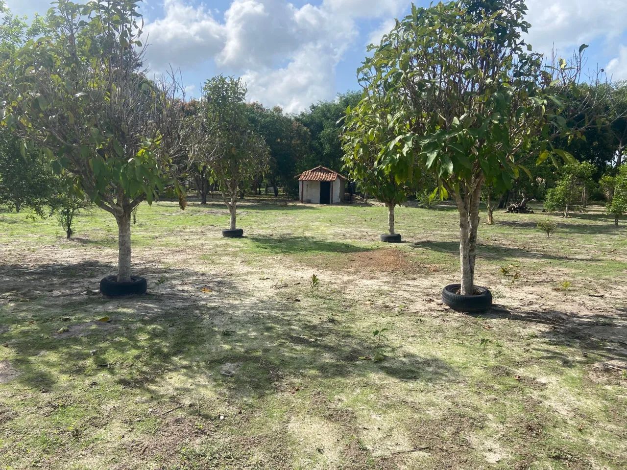 TERRENO 40X52 - Foto 4