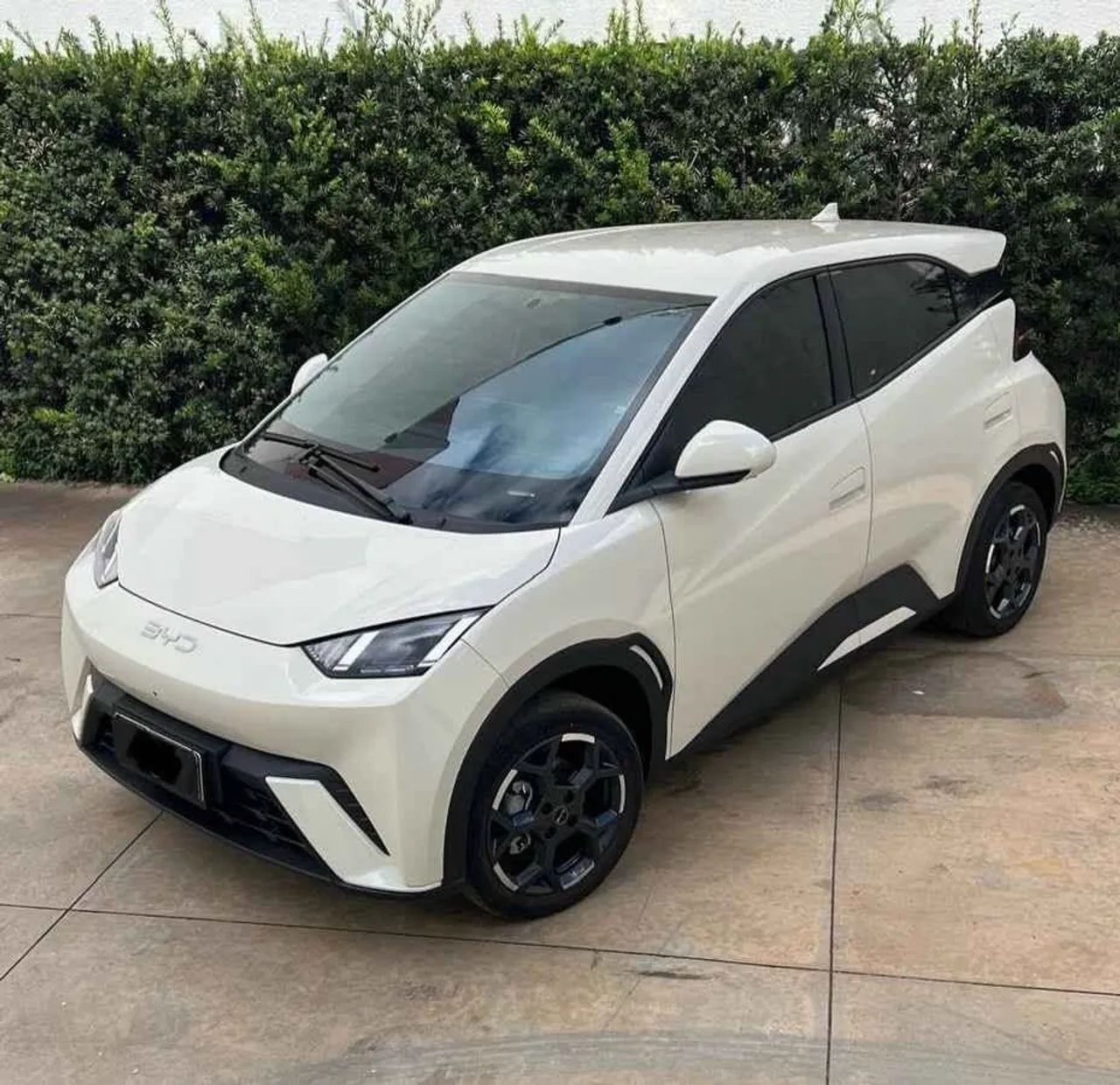 BYD Dolphin Mini (Elétrico) 2026 - Foto 2