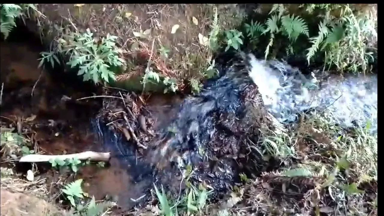 sitio 2.3 alqueires com muita água em Joanópolis sp