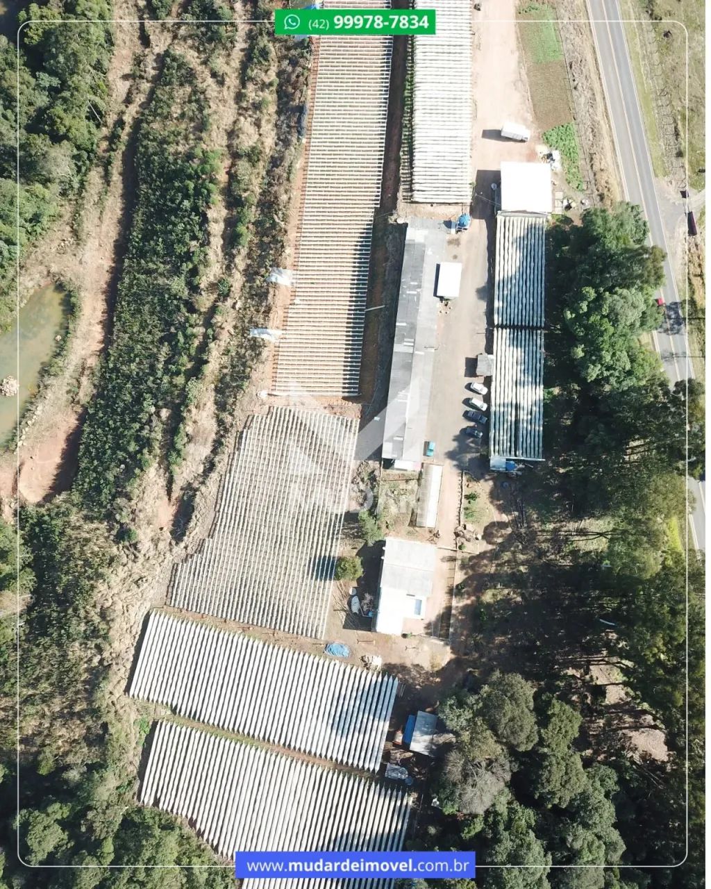 Propriedade para produção de morangos - Foto 3