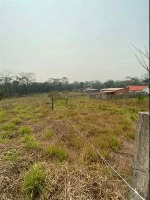 Vendo terreno no Floresta - Foto 2