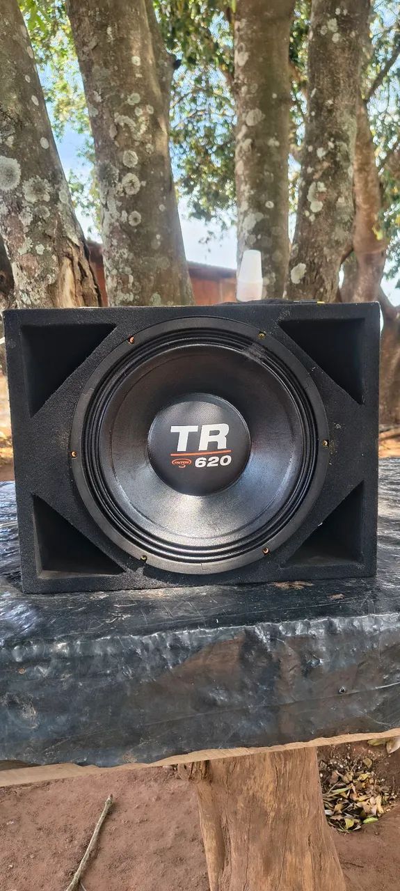 Alto falante Tr620 com caixa 