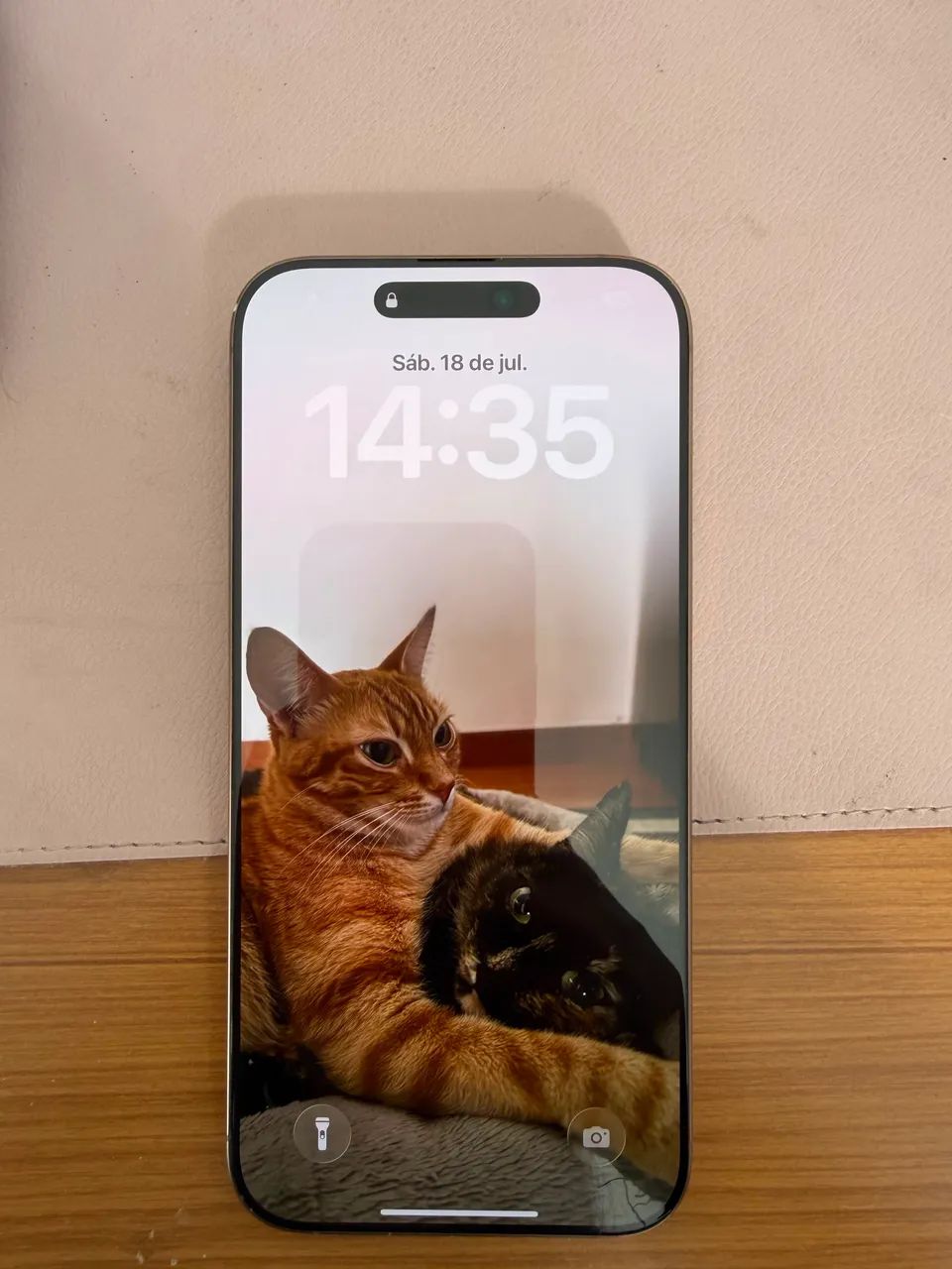 iPhone 16 Pro Max 256gb Desert Titanium - Foto 3