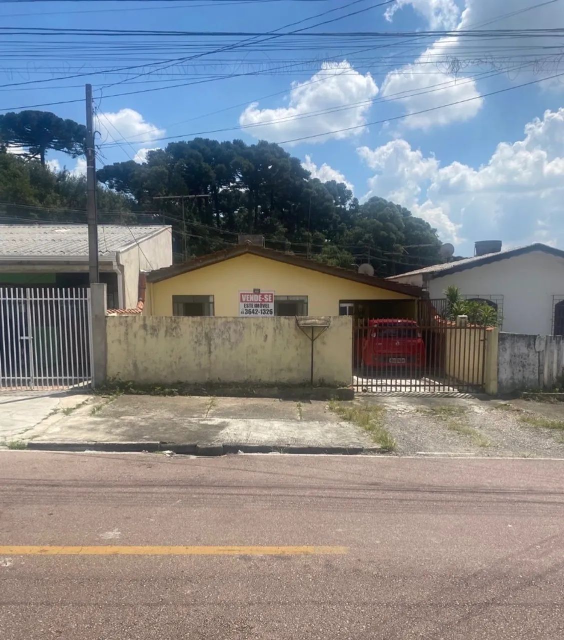 Foto - Araucária - Costeira