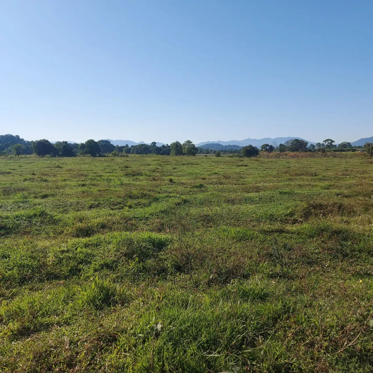 OPORTUNIDADE!!! ZONA RURAL!!!